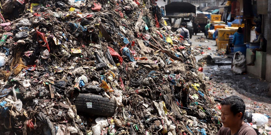 sampah caringin