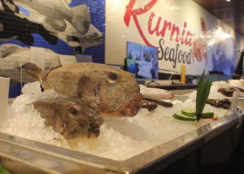 Ikan Monster Kudu-kudu jadi Hidangan Istimewa