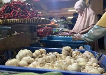 harga pangan