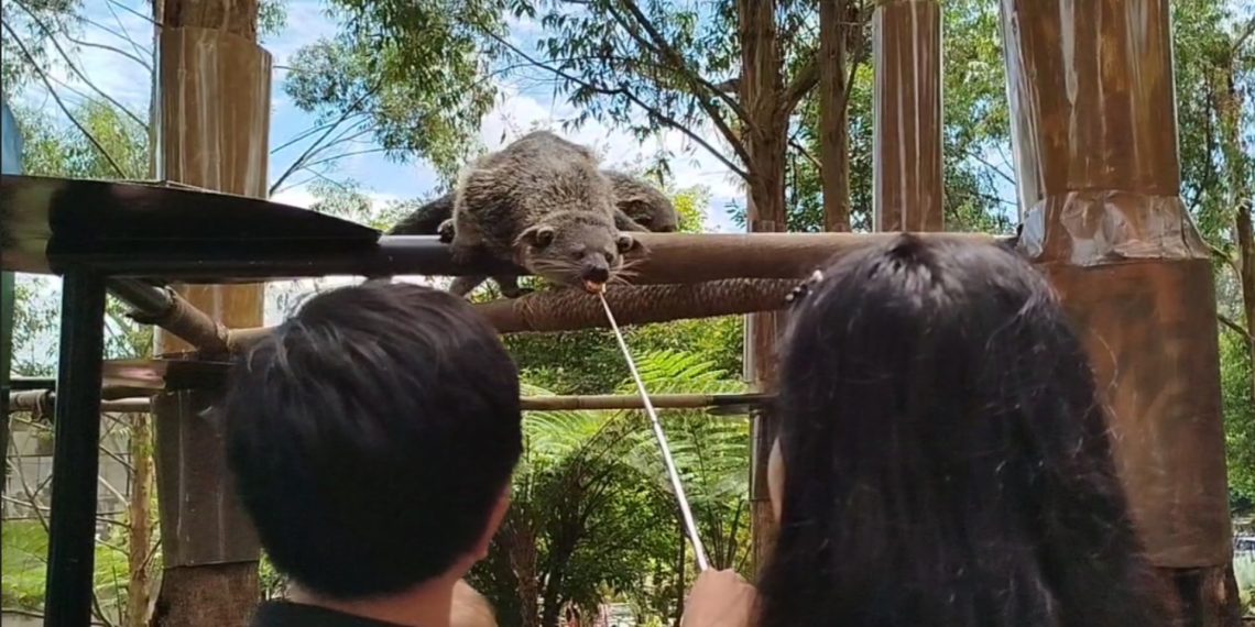 lembang park zoo