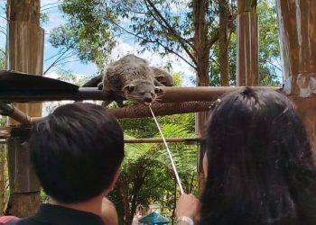 lembang park zoo