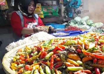 harga pangan