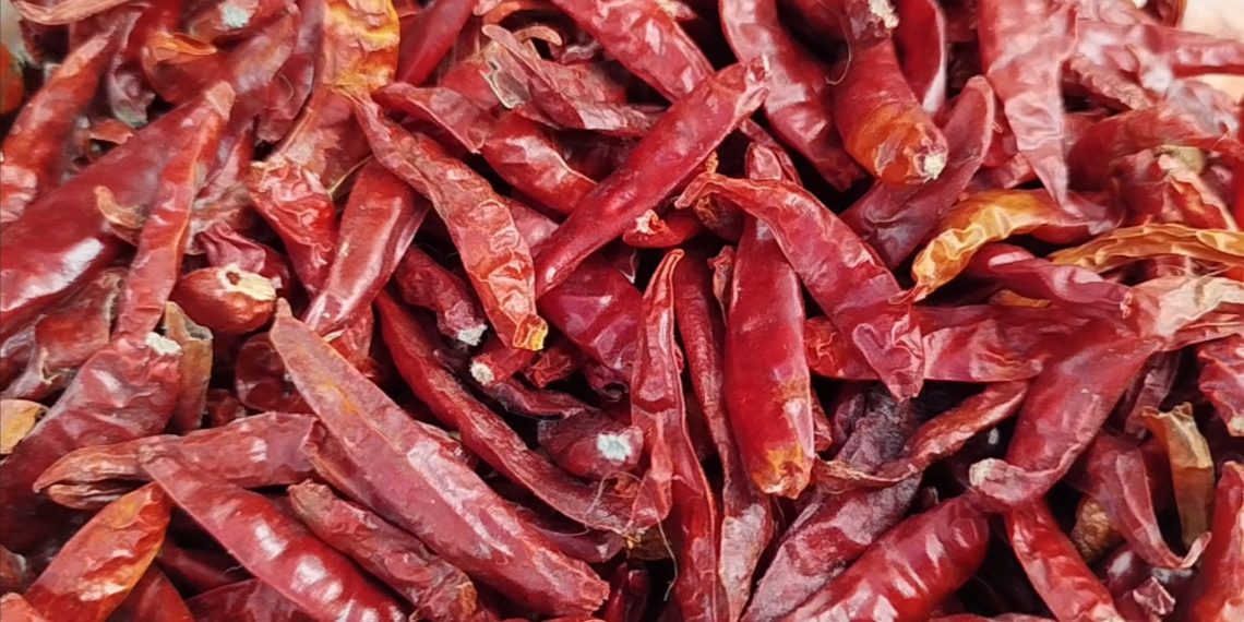 cabai rawit
