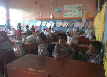 program mbg