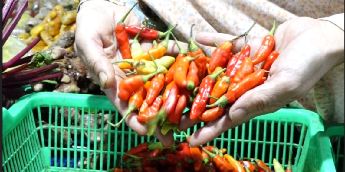 harga cabai di pasar