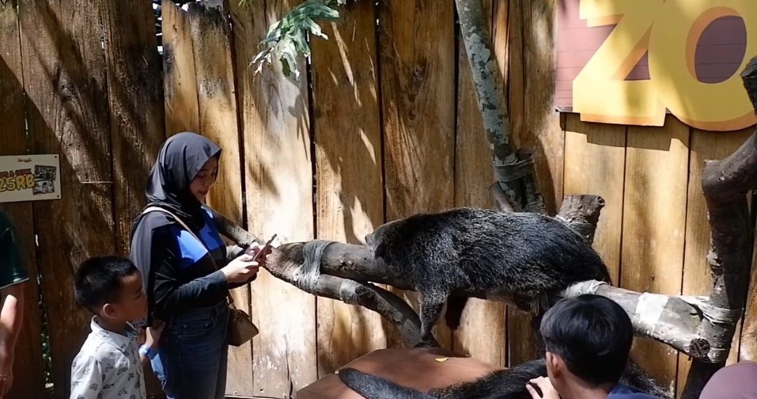 Kebun Binatang Bandung Dipadati 1.500 Orang/hari