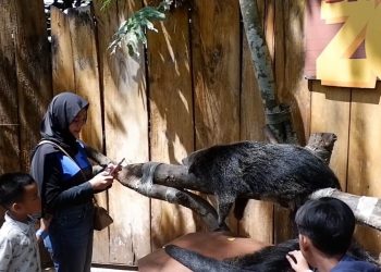 Kebun Binatang Bandung Dipadati 1.500 Orang/hari