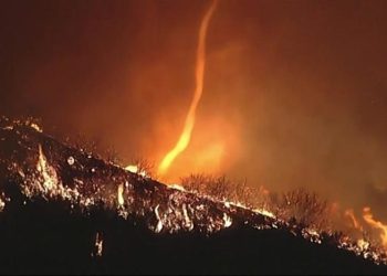 Tornado Api Muncul di Kebakaran Los Angeles???