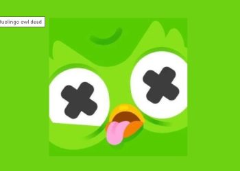 Duolingo Owl
