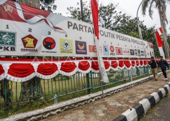 Partai Partikelir