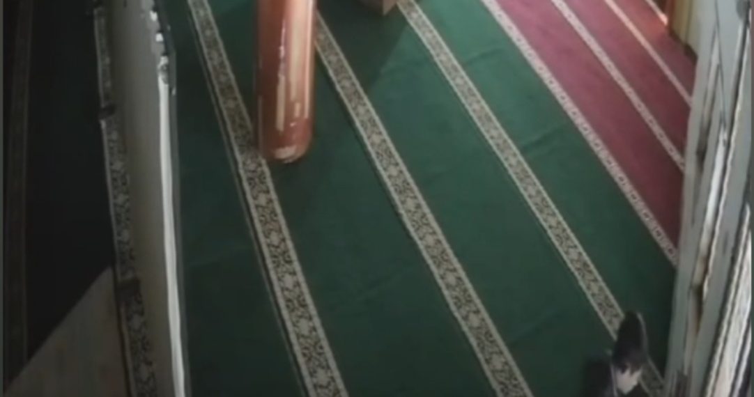 kotak amal masjid