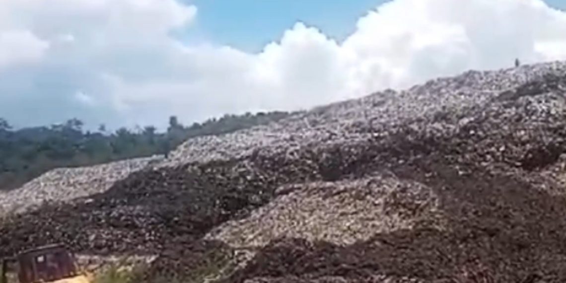 Gunungan Sampah di TPA Sarimukti Longsor