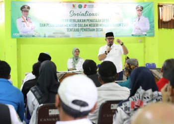 penataan desa
