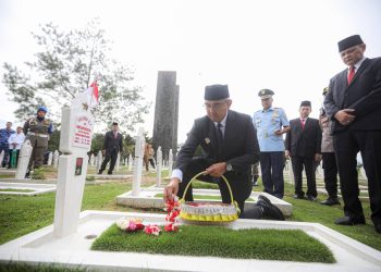 tabur bunga cikutra