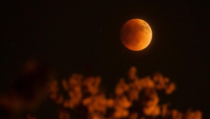 Full Worm “Blood” Moon Akan Terjadi Maret 2025