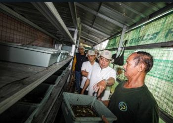 Sampah Kota Bandung