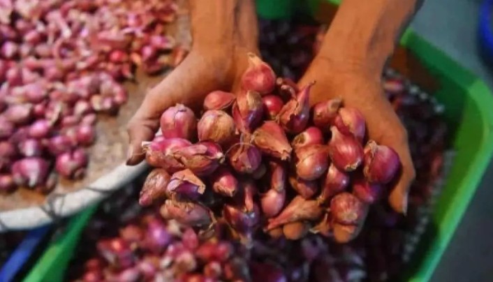 Harga Pangan