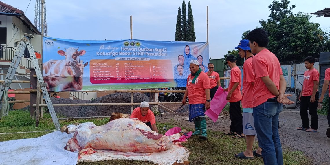 Kurban Idul Adha STKIP Pasundan Cimahi