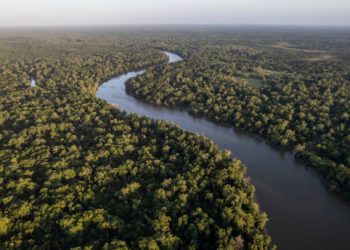 google maps hutan amazon
