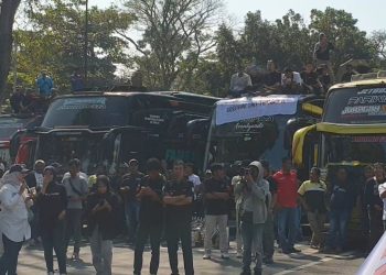 Sopir Bus Pariwisata Demo