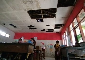 SDN Sindangsari