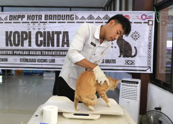 DKPP Bandung