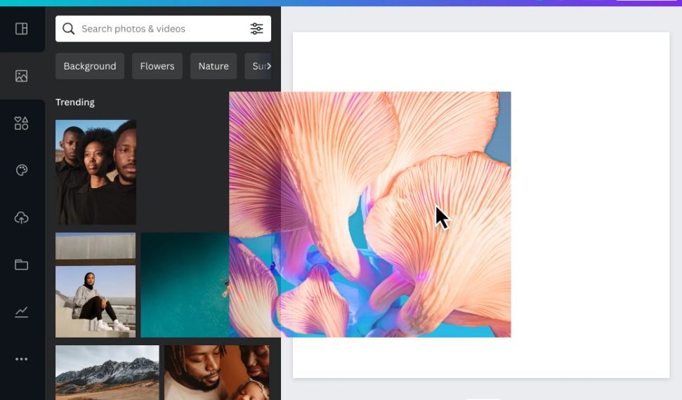 canva down