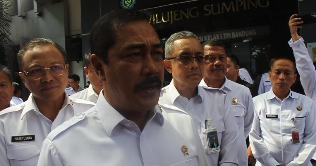 perdagangan bayi