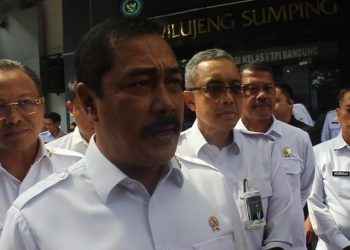 perdagangan bayi