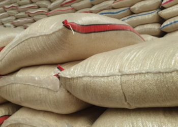 Harga Beras Stabil