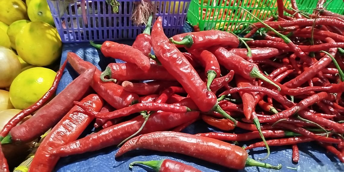 harga cabai bandung