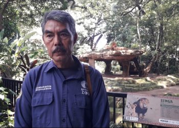 Rohman Suryaman, kurator Kebun Binatang Bandung. (Ist)