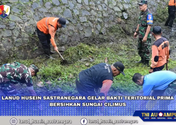 Bakti Teritorial