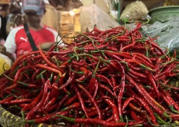Harga Pangan