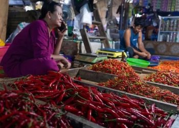 Harga Pangan