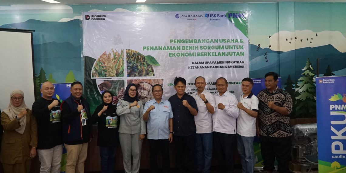 Sorgum Bandung