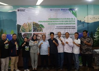 Sorgum Bandung