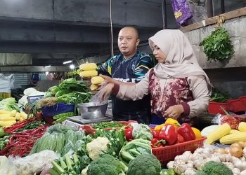 harga sayuran