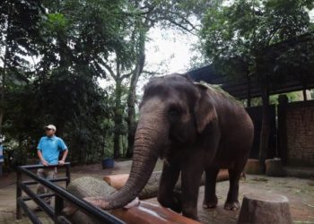 Bandung Zoo