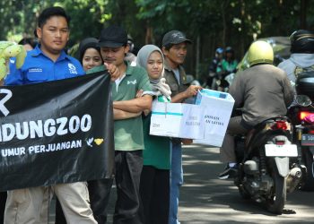 Pilu! Sejak kas nol, 711 satwa Bandung Zoo bertahan hidup dari donasi publik. Karyawan terpaksa modifikasi menu karnivora untuk Gajah Sumatera dan Harimau Jawa. (Humas Bandung Zoo)