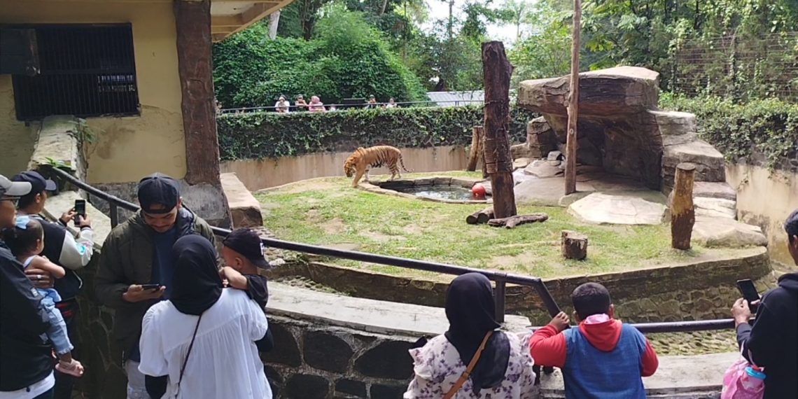 Bandung Zoo
