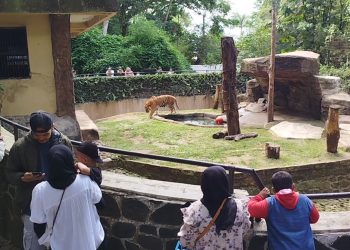 Bandung Zoo