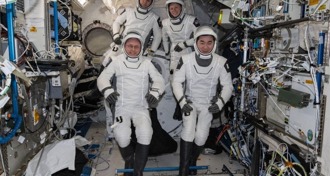 NASA Crew-11