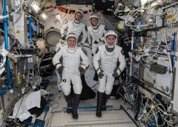 NASA Crew-11