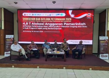 anggaran peternakan sapi