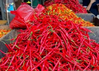 Harga Pangan
