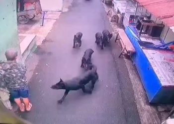 Anak digigit anjing di Cibuntu Bandung. (Uby/pasjabar)