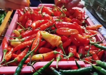 harga sembako