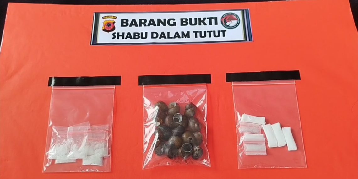 sabu cangkang tutut