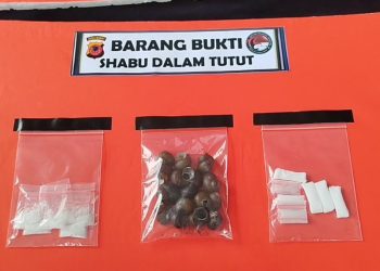 sabu cangkang tutut